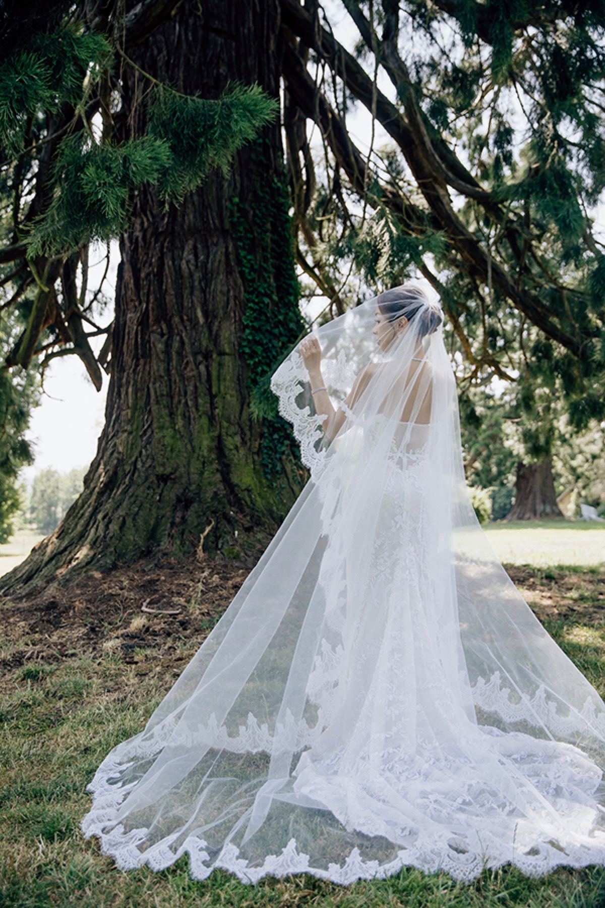 Mariée avec voile dans un jardin